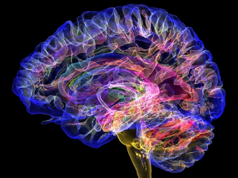 无码性爱BXX大脑植入物有助于严重头部损伤恢复